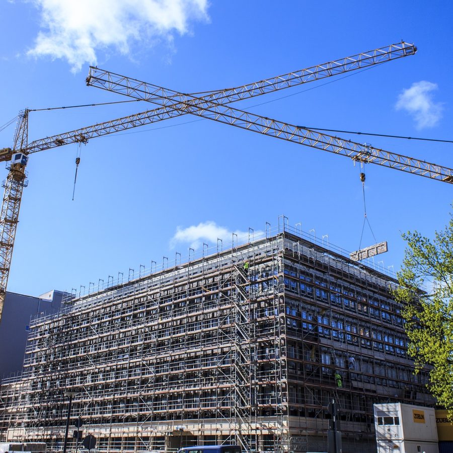 crane-325038_1920